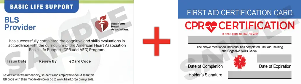 Sample American Heart Association AHA BLS CPR Card Certification and First Aid Certification Card from CPR Certification Durham